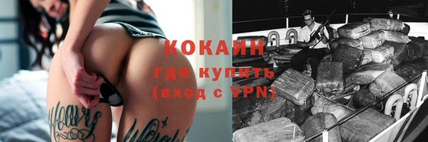 индика Алексин