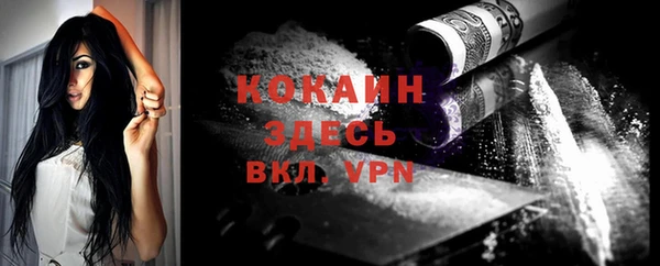 тгк Алзамай