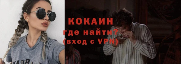 индика Алексин