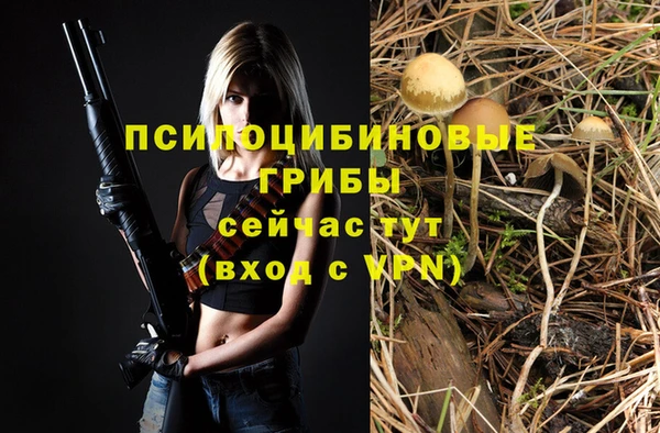 индика Алексин