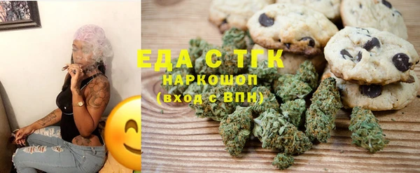 индика Алексин