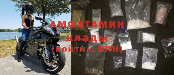 индика Алексин