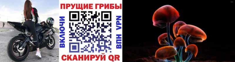 Псилоцибиновые грибы MAGIC MUSHROOMS  Ишим 