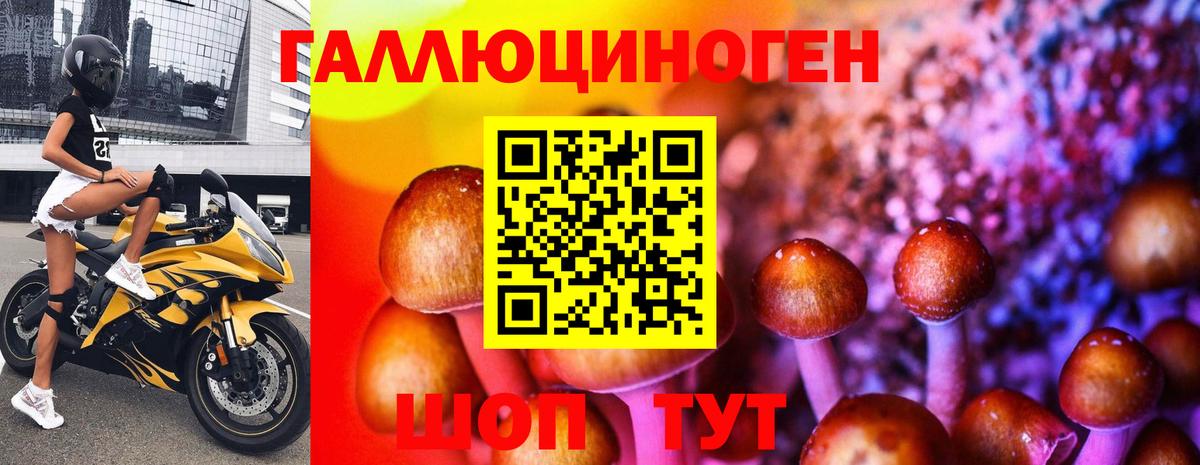 Ишим  Псилоцибиновые грибы Cubensis  закладка  Вход с VPN 