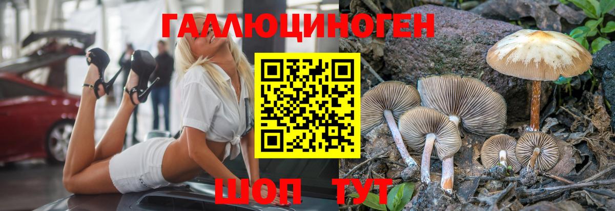 Галлюциногенные грибы мухоморы Ишим